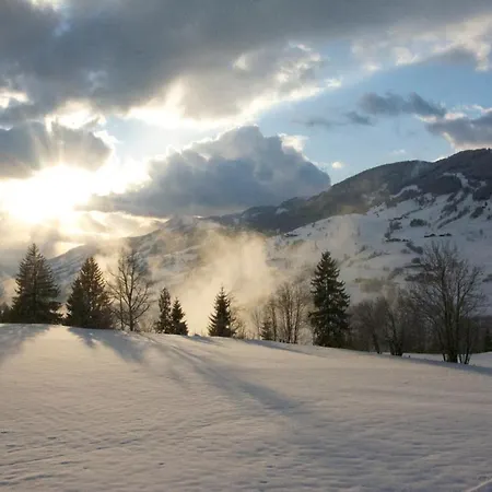 Haus Riedmann Daire *